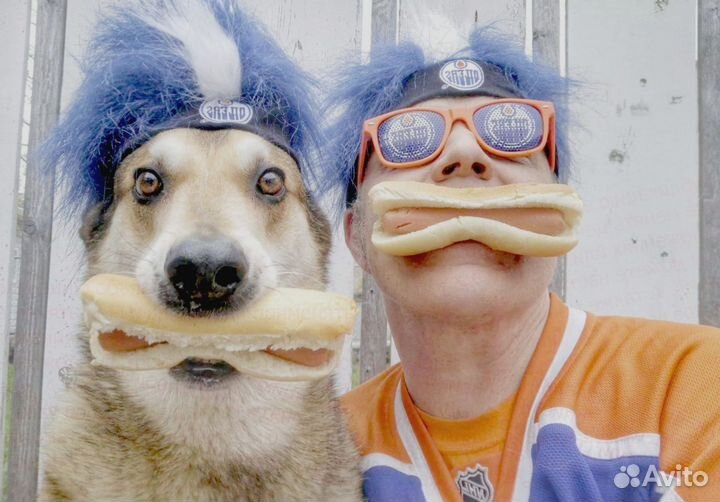 Комплектовщик Товары для дома Вахта Жилье Гарантии