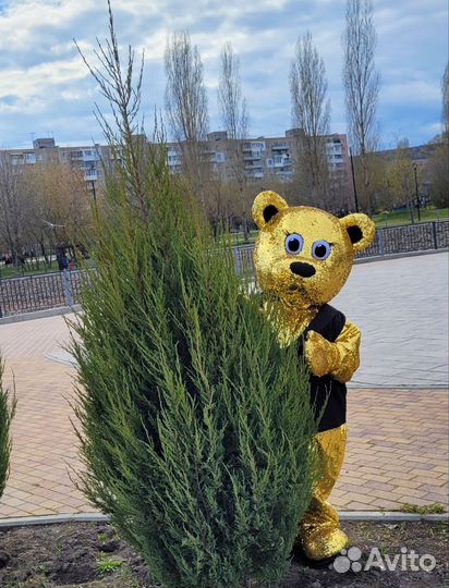 Ростовая кукла Золотой Мишка Мини- поздравление