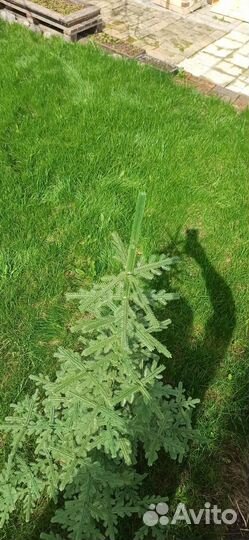Ель искусственная СССР