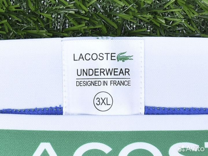 Подарочный набор мужских трусов Lacoste 5 шт