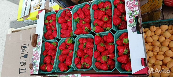 Клубника свежая