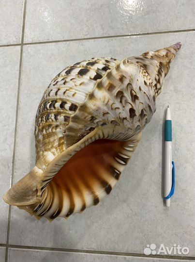 Рында Штурвал Горн В подарок моряку