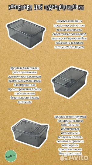 Малыш эублефар