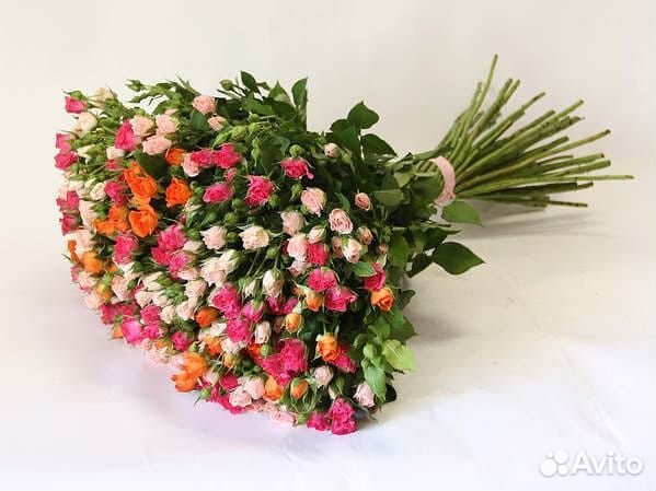 Кустовые розы оптом