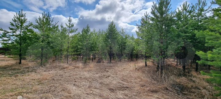 Участок 15 сот. (ИЖС)