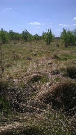 Участок 6 сот. (СНТ, ДНП)