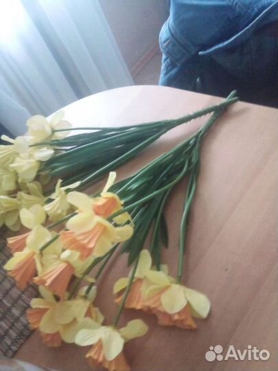 Нарциссы кустовые декоративные 5 кустов