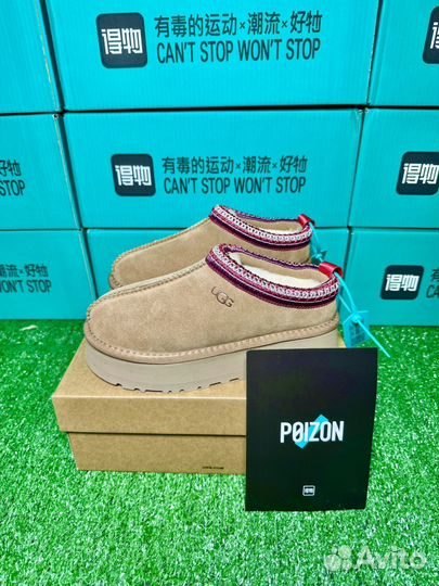 Ugg Tazz оригинал