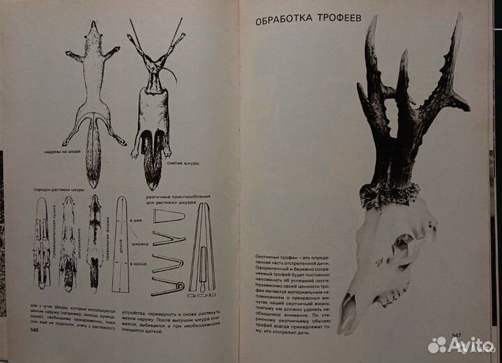Охота в иллюстрациях. А.Б.Герцег, 1987 г