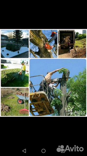 Мастер на час