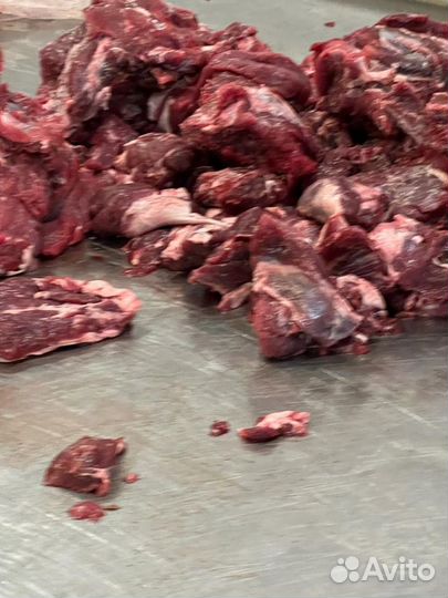 Мясо говядина котлетное с голов