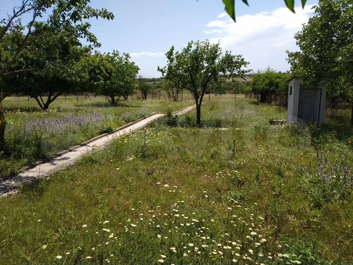 Дача 80 м² на участке 12 сот.