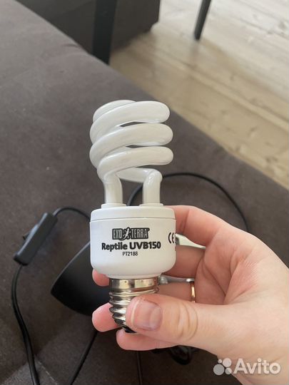 Лампа для сухопутных черепах и держатель