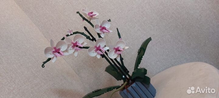 10311 Lego Botanical Collection 