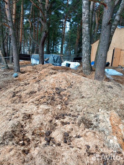 Конский навоз бесплатно