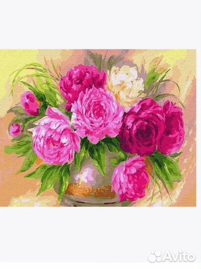 Новая картина для рисования по номерам Пионы