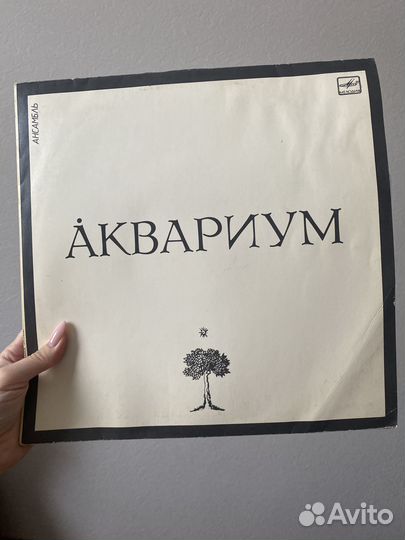 Грампластинки