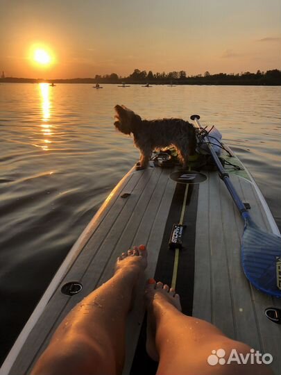 Прогулка на сапах (сапборд) с собаками