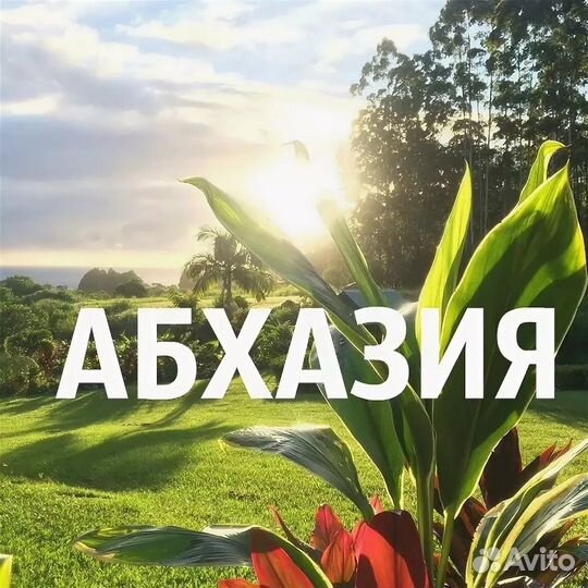 Абхазия гостевой дом 