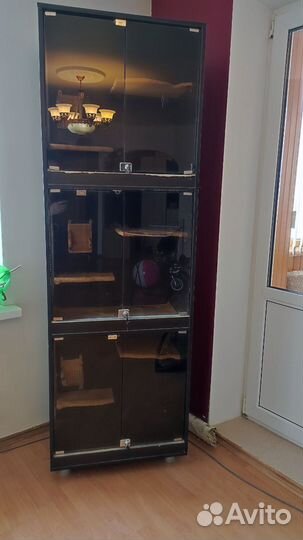 Витрина для шиншилл