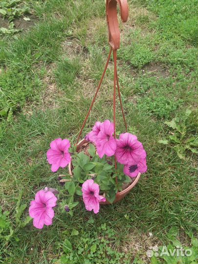 Кашпо подвесное для цветов