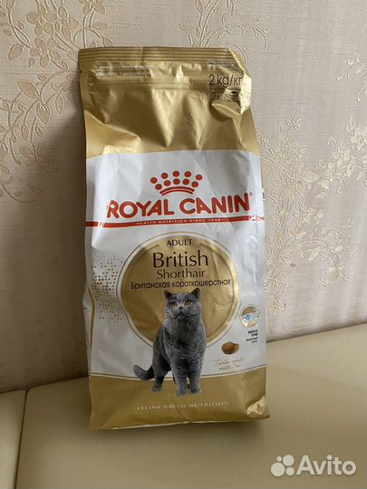 Корм для кошек royal canin британской породы 2 кг