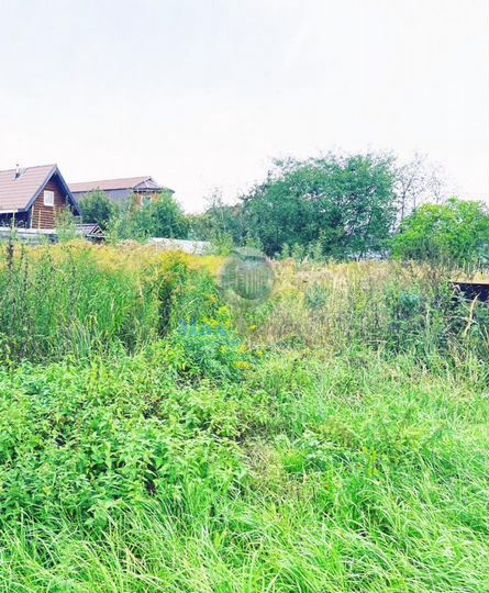 Участок 6 сот. (СНТ, ДНП)