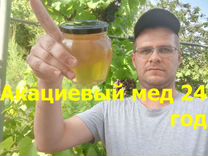 Мёд акации к столу, доставкой 0 рубл
