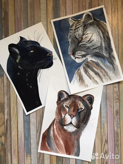 Кошки рисунок