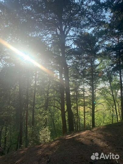 База отдыха, номер