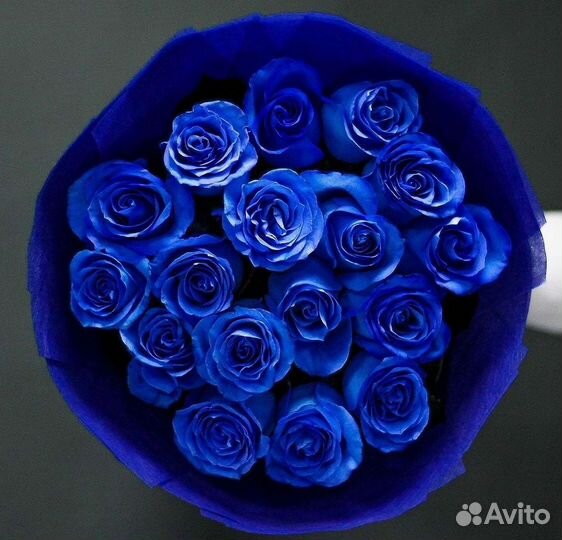 Синие розы с доставкой