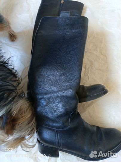 Сапоги женские
