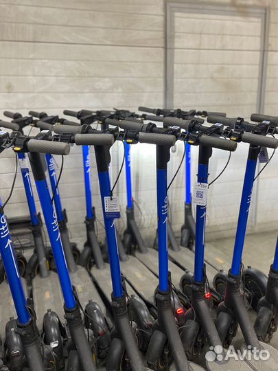 Электросамокаты для шеринга