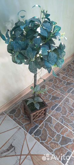 Цветок шефлера искусственный