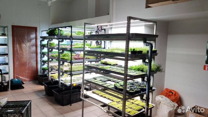 Наставничество в сфере ситифермерства