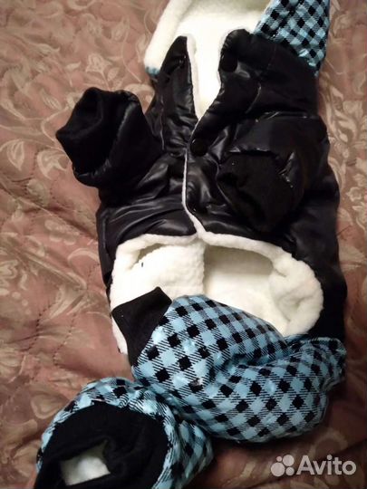 Комбинезон для собаки+ жилетка