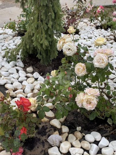 Таунхаус 105 м² на участке 2 сот.