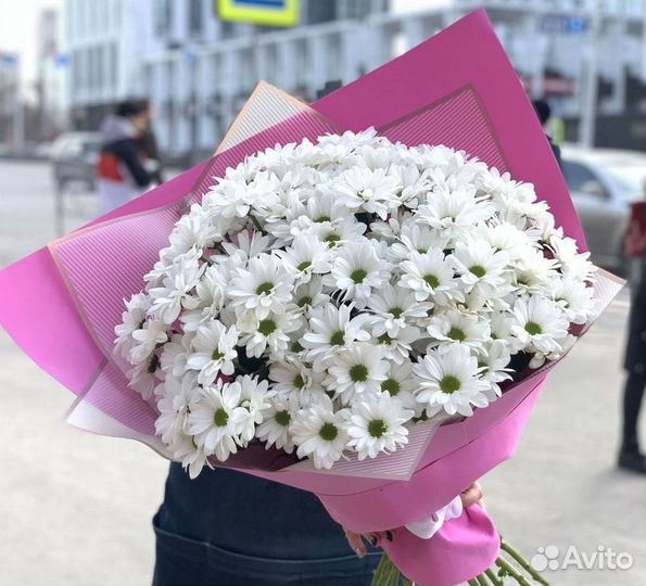 Цветы хризантемы