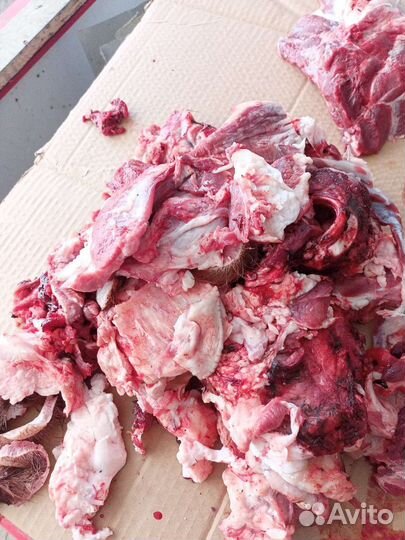 Мясо для собак