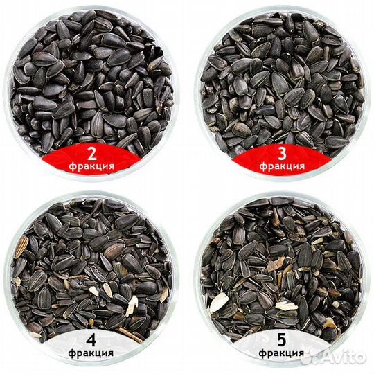 Оператор зерноочистительной машины в с. Данково