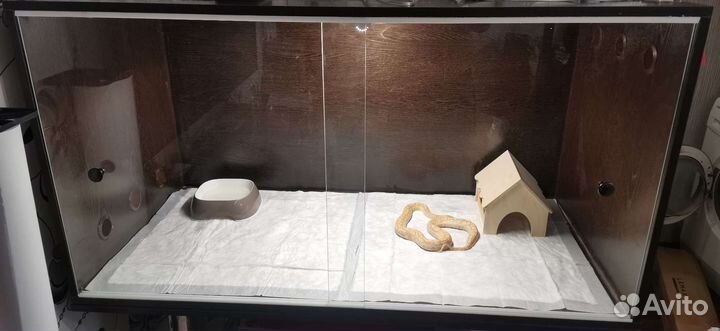 Террариум для змеи