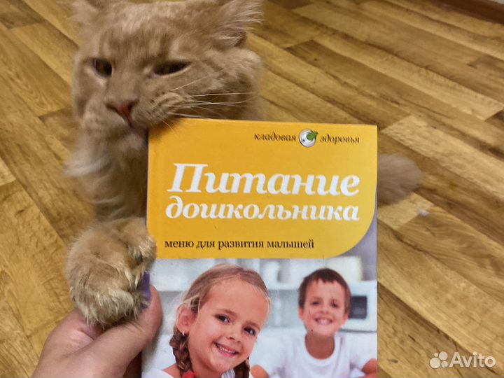 Книга питание дошкольников