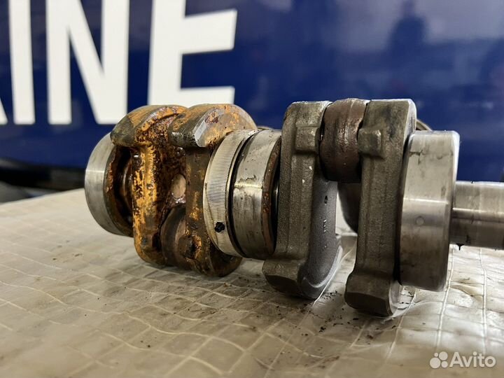 Ремонт / обслуживание подвесных лодочных моторов