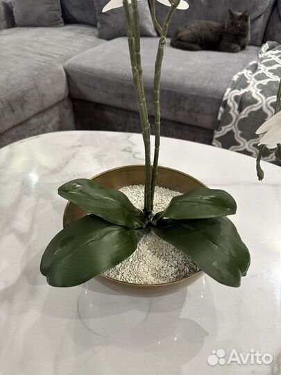 Орхидея в кашпо искусственная белая