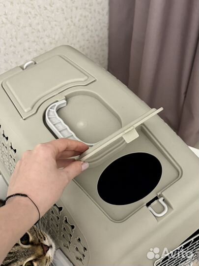 Переноска для животных пластиковая