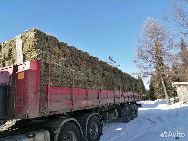 Сено в тюках