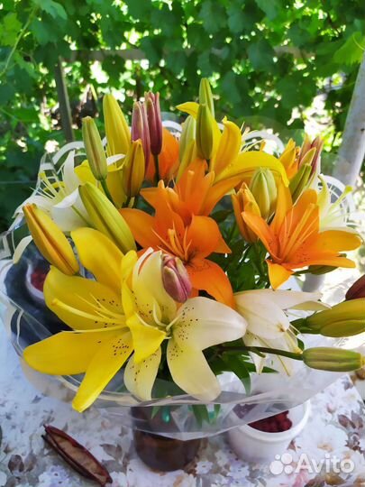 Лилия садовая