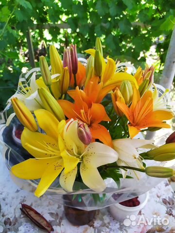 Лилия садовая