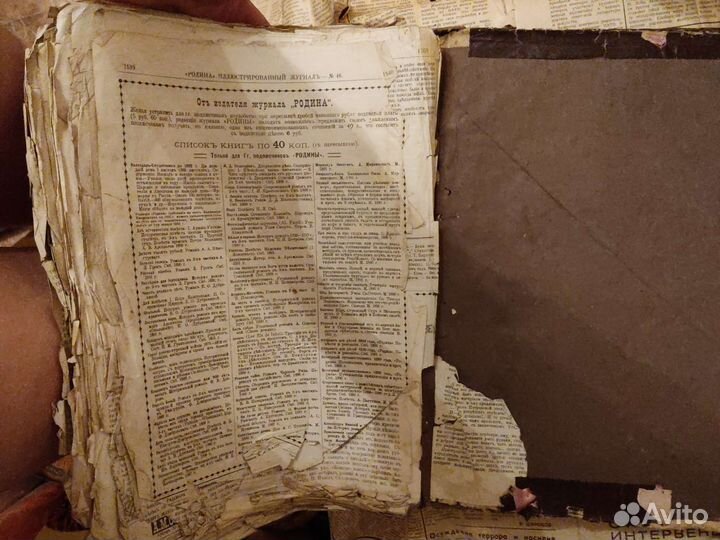 Родина 1891 г