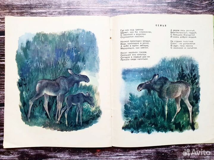 Лифшиц. Лесные хозяева 1957 г